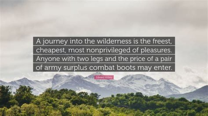 A Journey Into The Wilderness