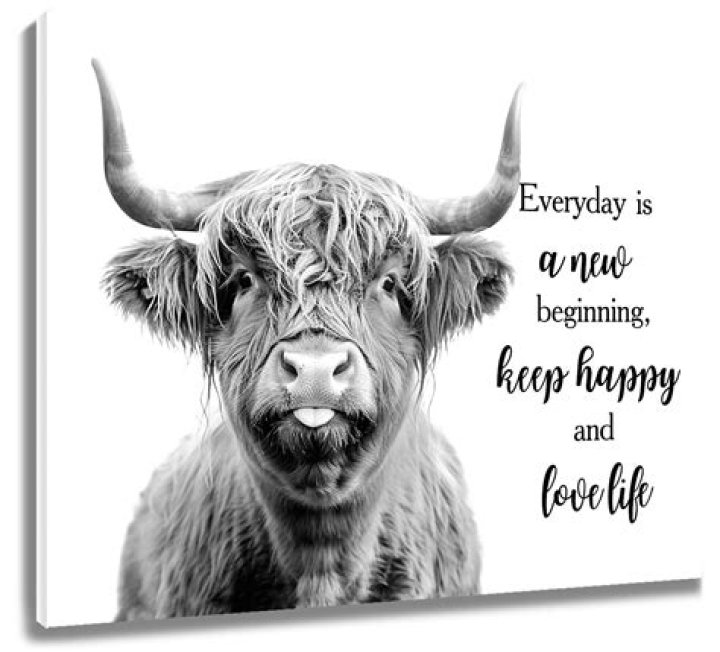 Cute Cow Quotes