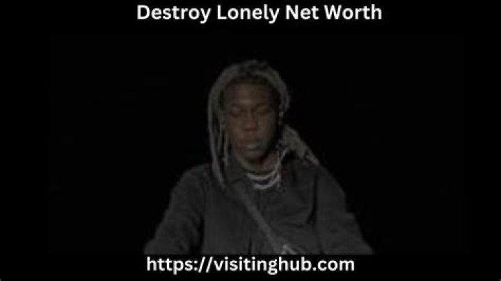 Destroy Lonely Net Worth