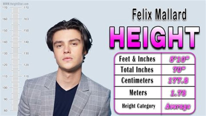 Felix Mallard Height