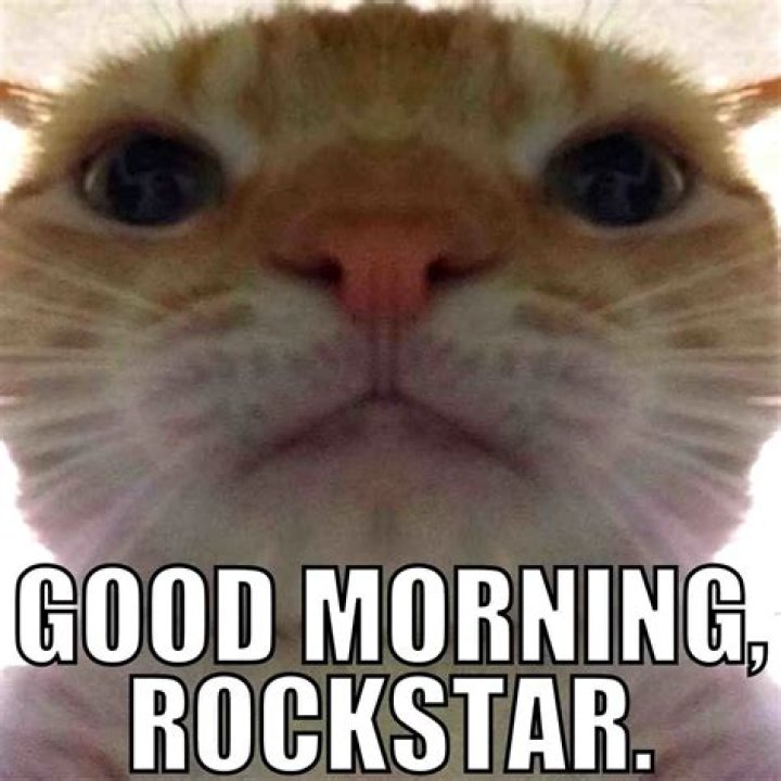 Good Morning Memes