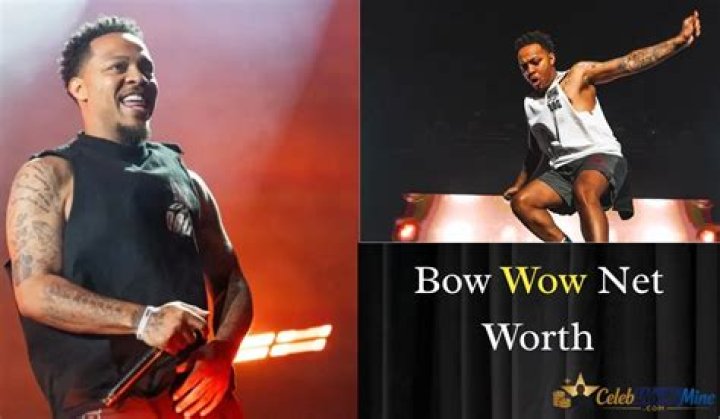 How Much Bow Wow Is Worth