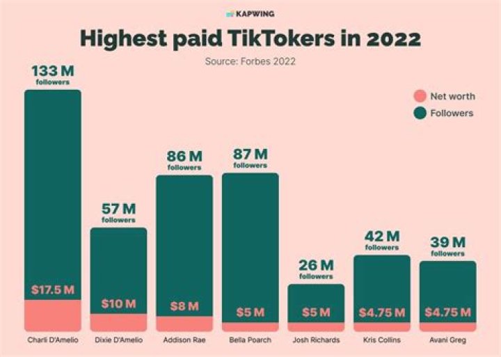 How Much Money Does The TikTok CEO Make Annually?
