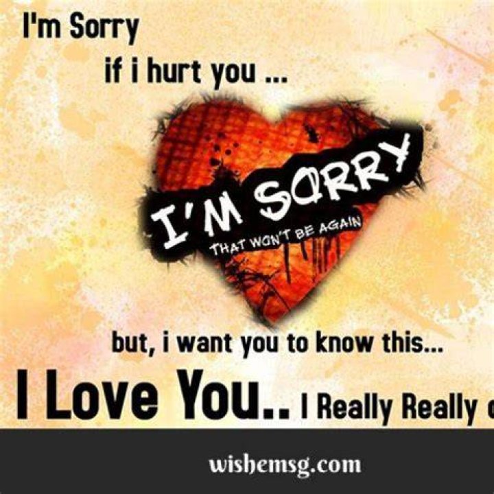 I Love You I'm Sorry Quotes