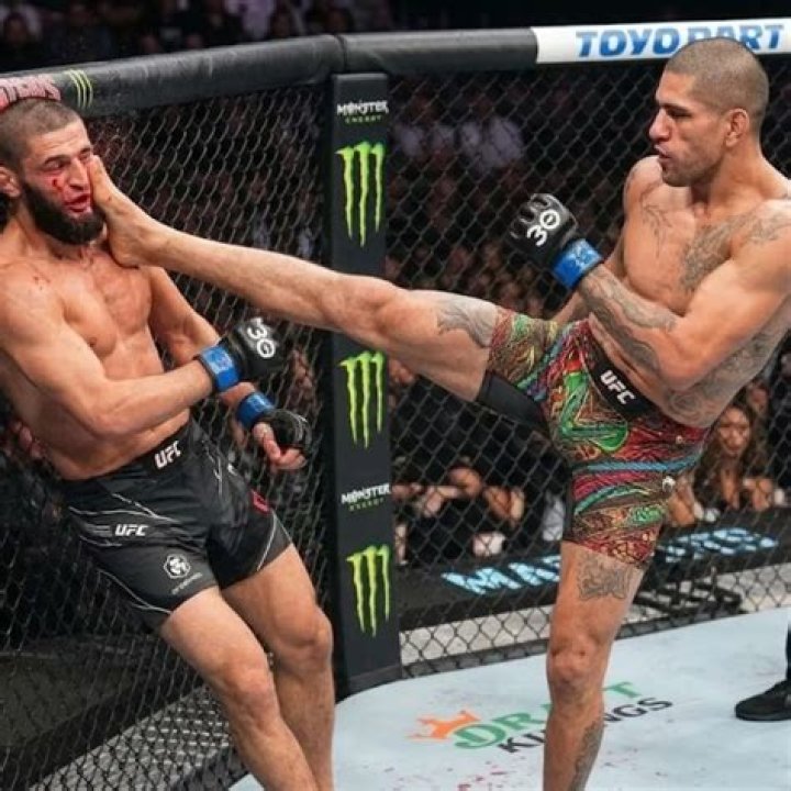 Michael Pereira And Alex Pereira's Dominance