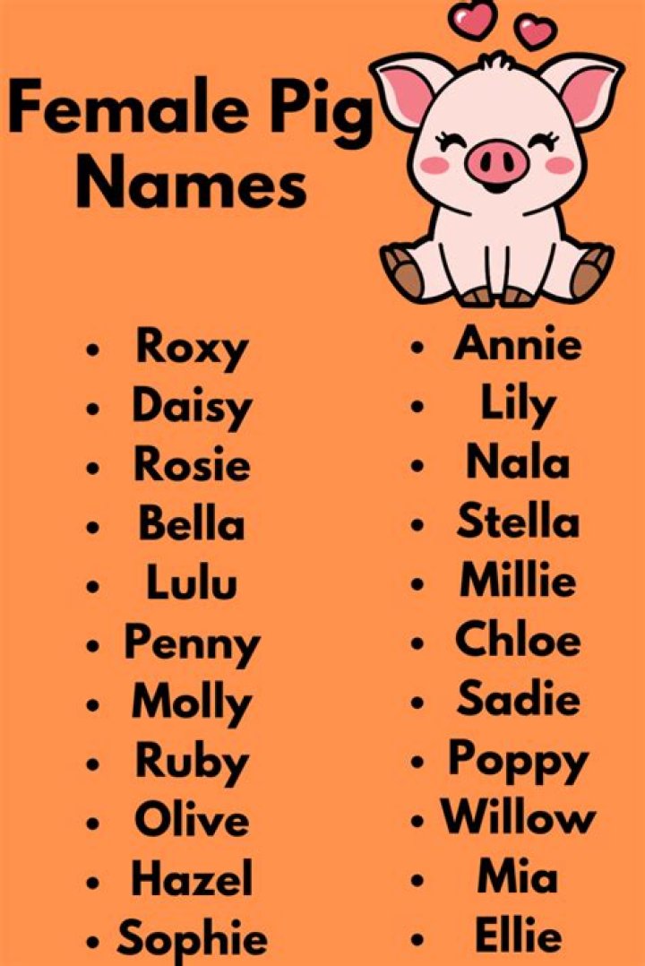 Pig Names Female