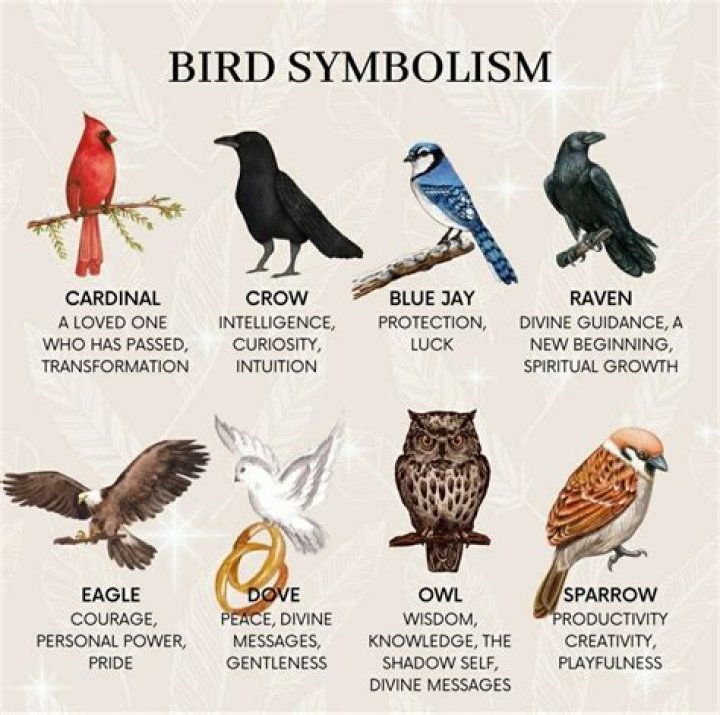 Symbol Of A Bird