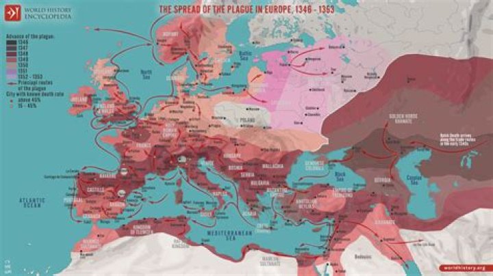 The First Plague And Its Impact