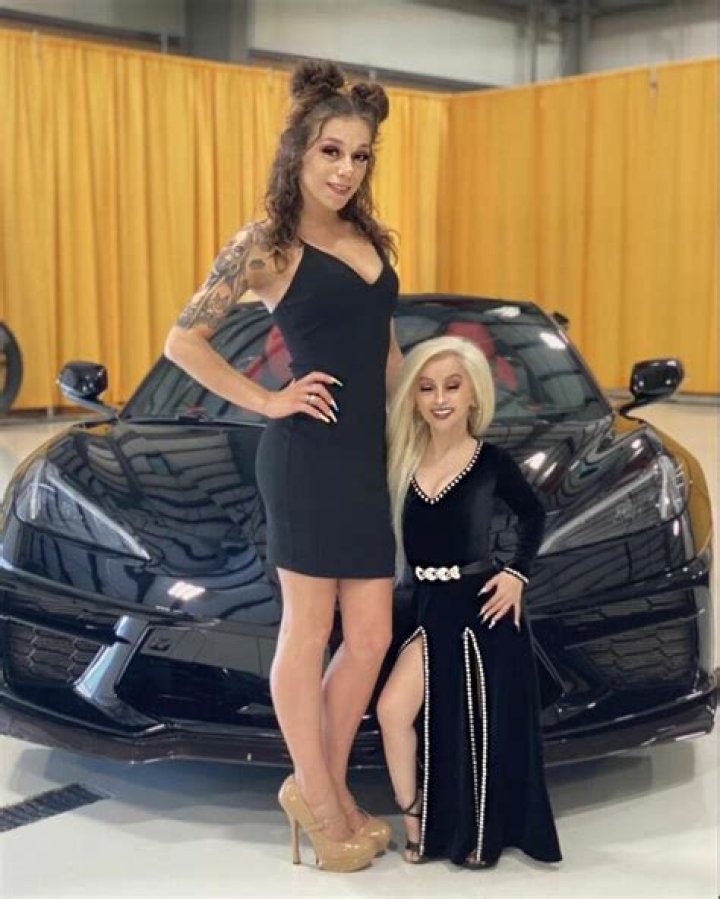 Tiny Texie Height